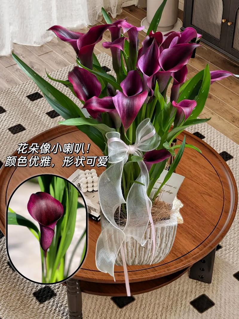 马蹄高产个大咋实现？种植技术有啥诀窍？-图3