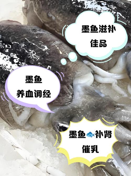 墨鱼养殖技术视频怎么学才高效？-图2