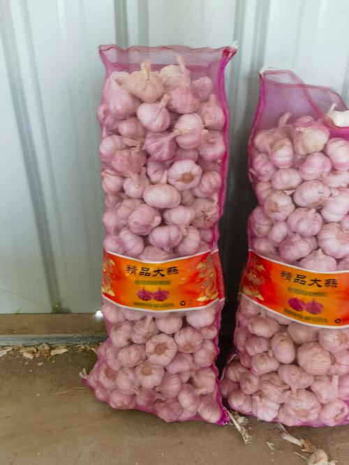 今日河南中牟大蒜价格多少钱一斤？-图3