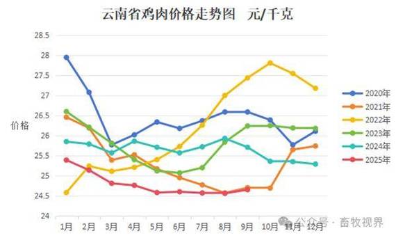 肉鸡价格未来行情将如何变化？-图3