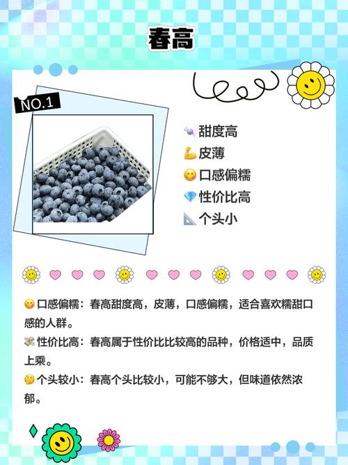 蓝莓南高丛主要品种有哪些？-图2