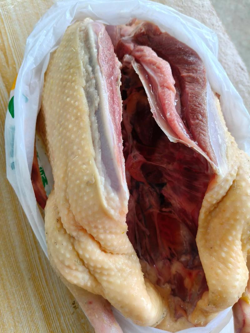 2025麻鸭价格行情如何？-图3