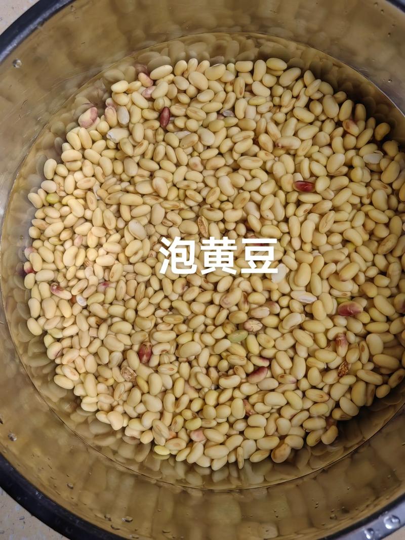 大豆种子品种有哪些？-图2