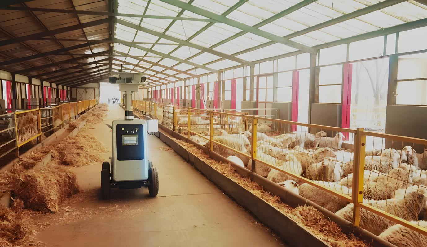 高科技养猪新技术视频有哪些亮点？-图1