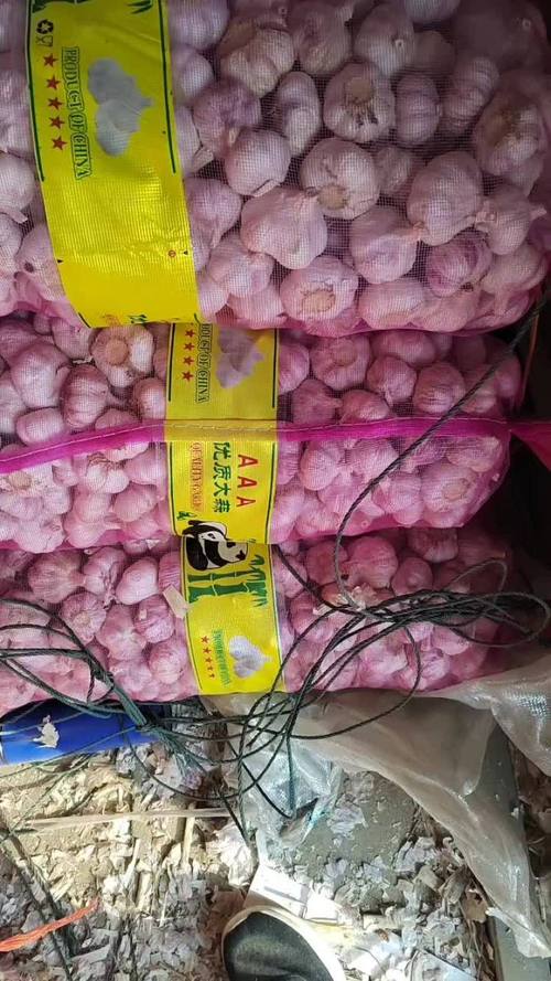 金乡大蒜最新价格行情怎么样？-图2