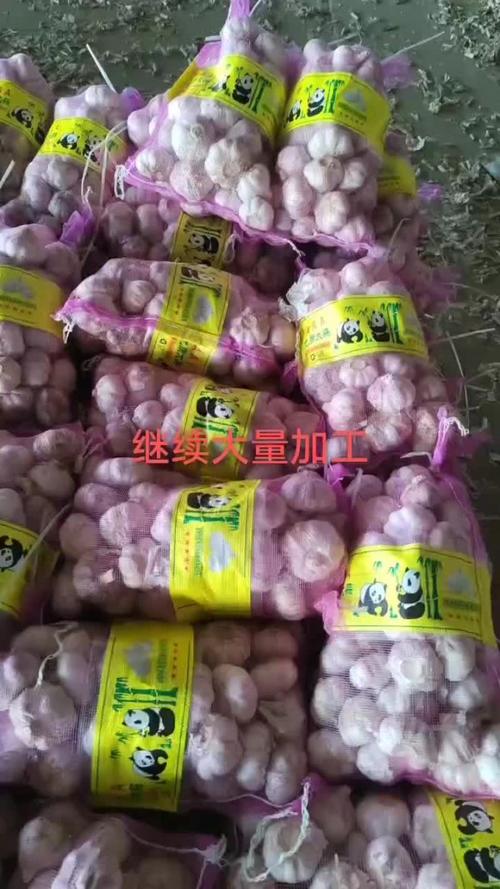 金乡大蒜最新价格行情怎么样？-图3