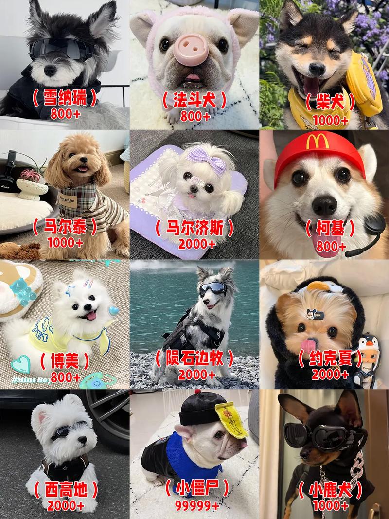 2025年河南肉狗价格会涨还是跌？-图1