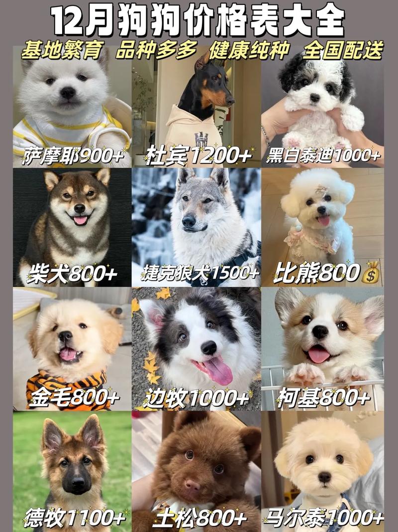 2025年河南肉狗价格会涨还是跌？-图2