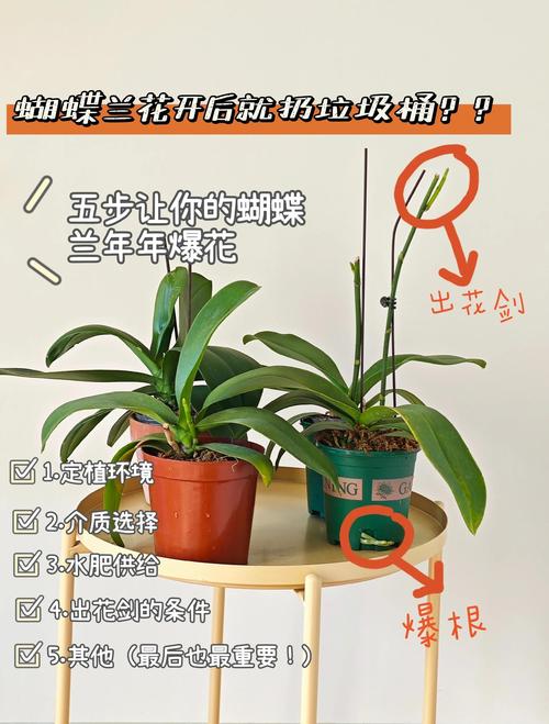 花卉养殖视频教程，新手怎么学？-图1