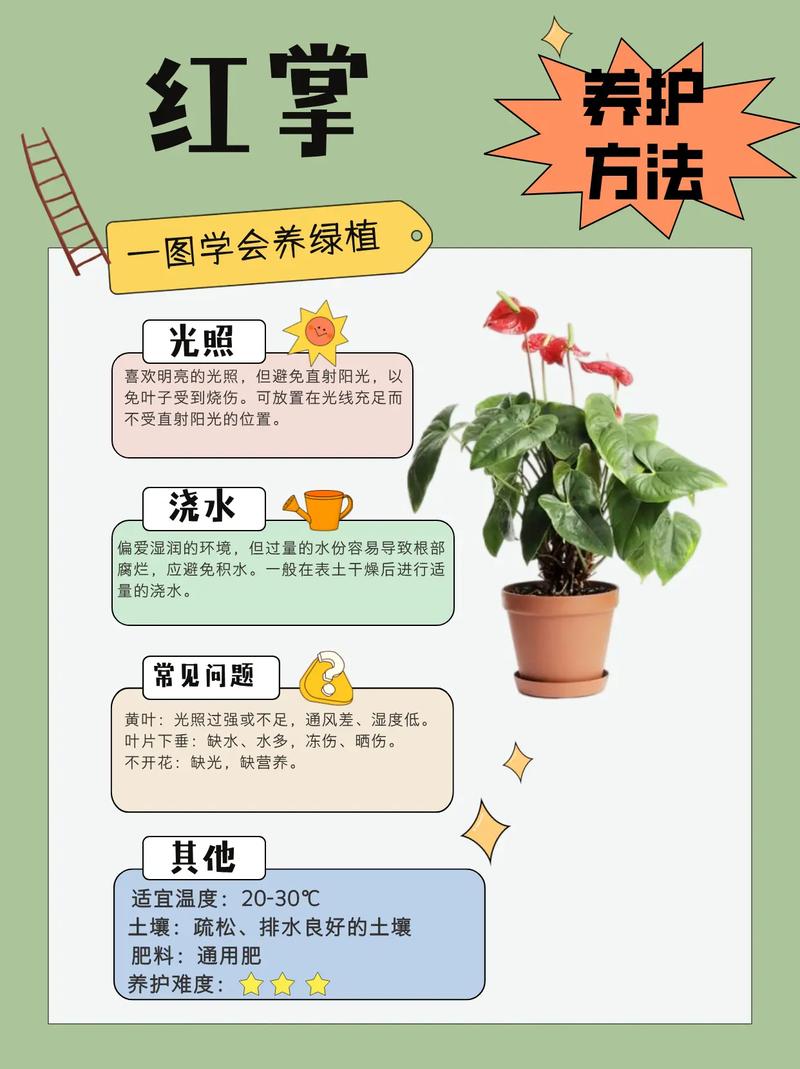 花卉养殖视频教程，新手怎么学？-图2