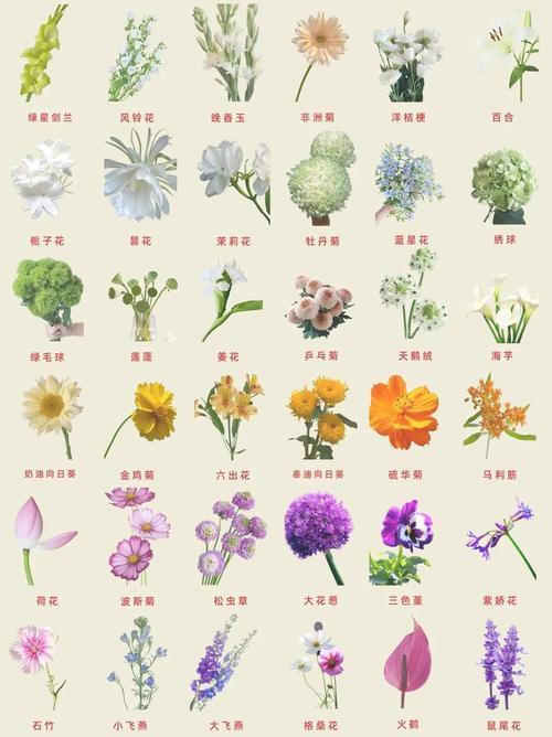 花卉品种图片数量有多少？-图1