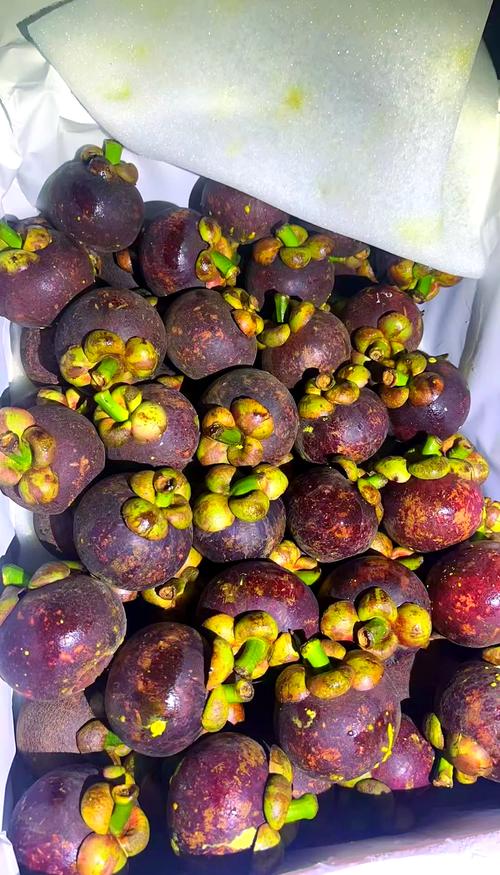 山竹哪个品种最好吃？-图3