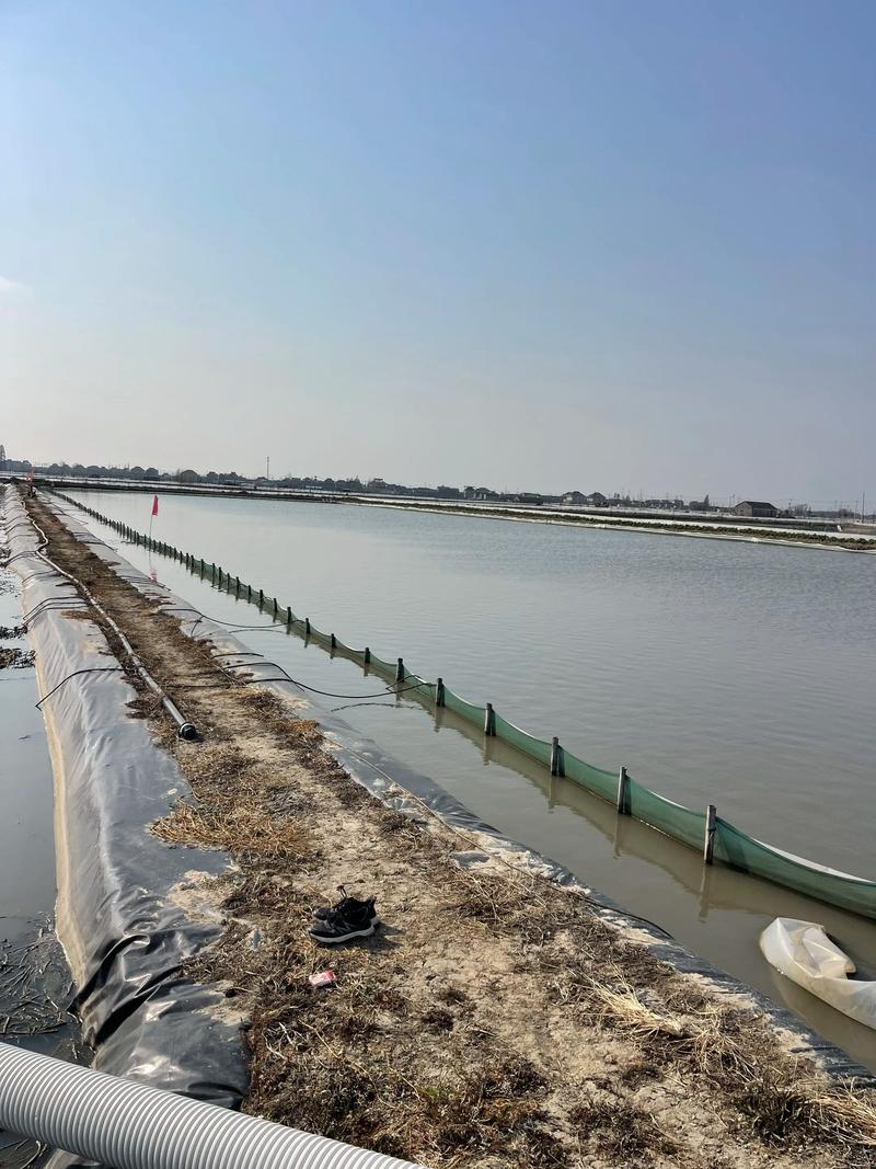 螃蟹养殖技术视频教程怎么学？-图1