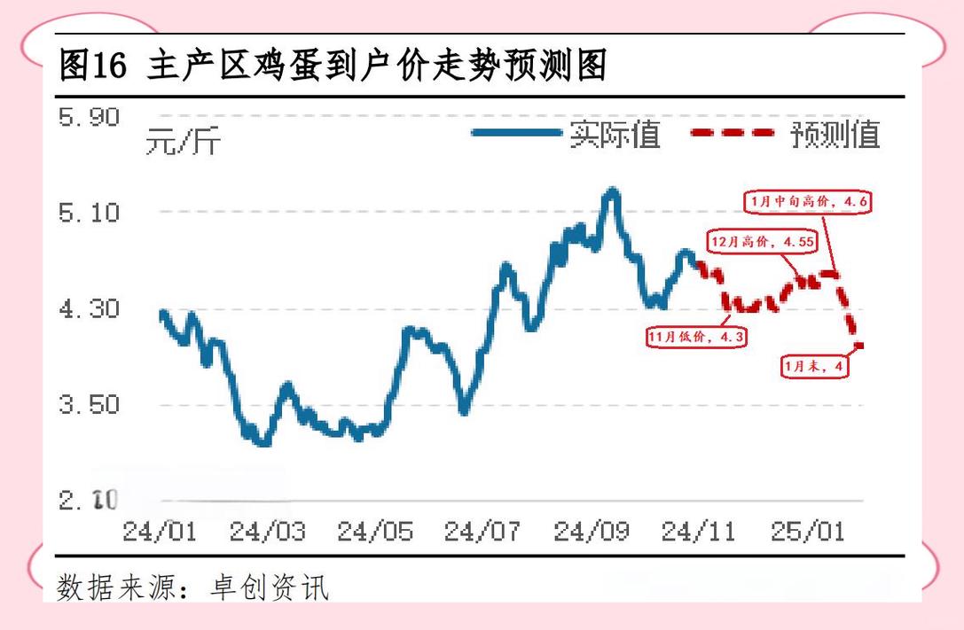 今日周口鸡蛋价格多少？-图3
