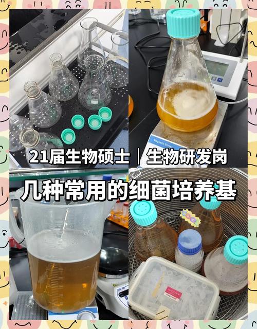 生物絮团技术如何高效培养目标菌类？-图2