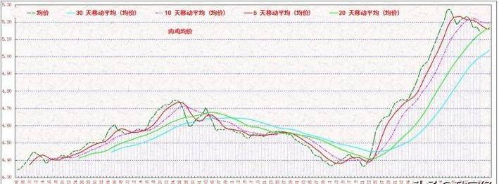 广东白羽肉鸡今日价格-图1