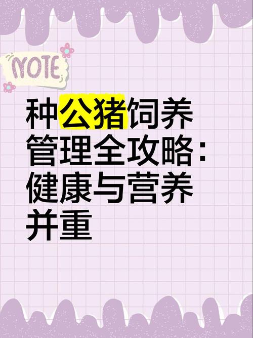 种公猪饲养管理有何关键要点？-图1