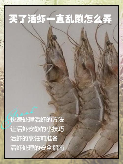 无公害淡水虾养殖技术要点有哪些？-图1
