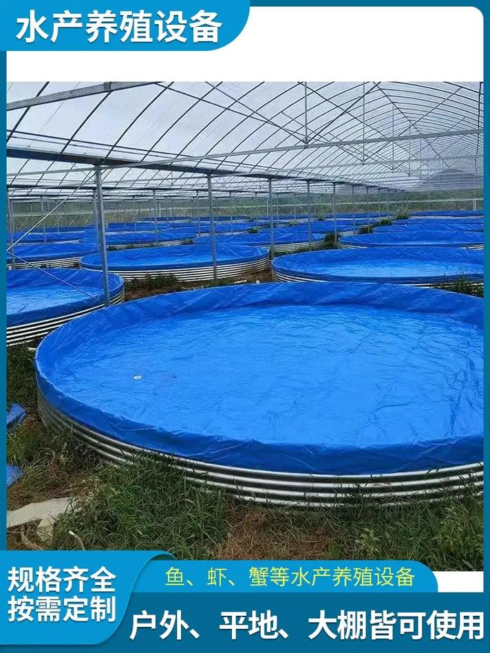 无公害淡水虾养殖技术要点有哪些？-图2