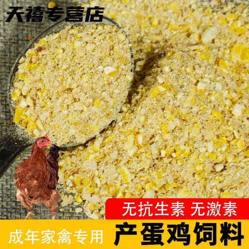 蛋鸡全价饲料今日价格多少？-图2