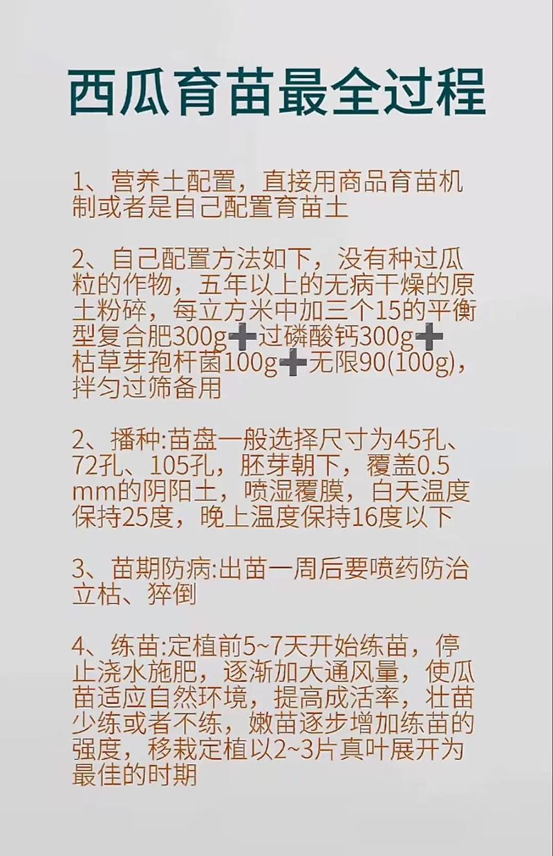 大棚西瓜种植技术有哪些关键要点？-图2