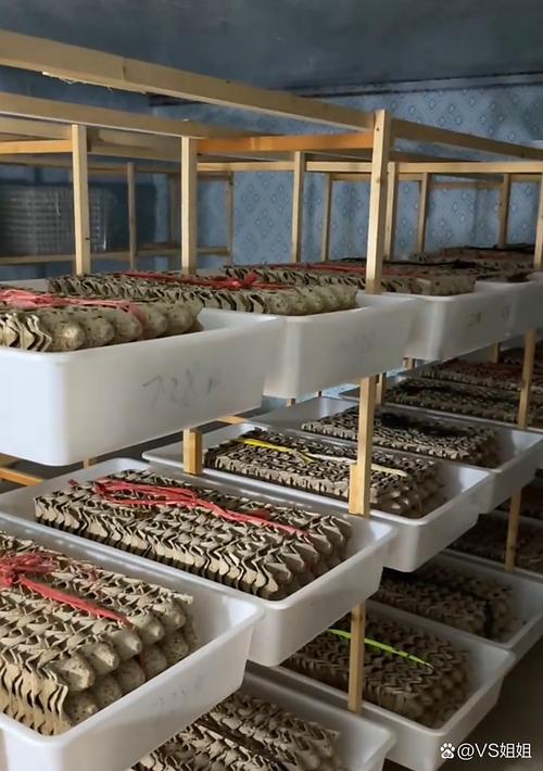 方程养殖蝎子技术视频哪里看？-图1