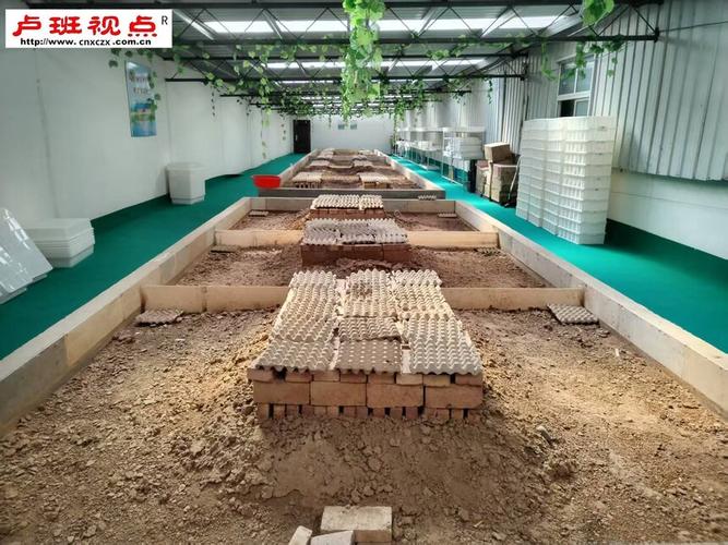 方程养殖蝎子技术视频哪里看？-图3