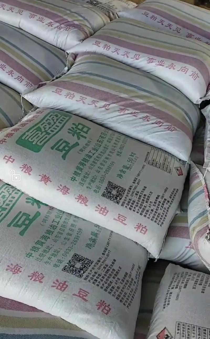 山东日照黄海豆粕价格今日行情如何？-图1