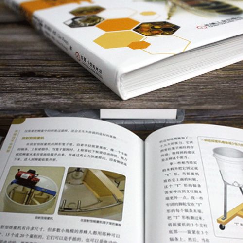 中华蜜蜂养殖技术全套有哪些要点？-图1