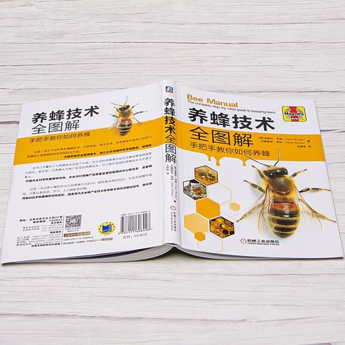 中华蜜蜂养殖技术全套有哪些要点？-图2