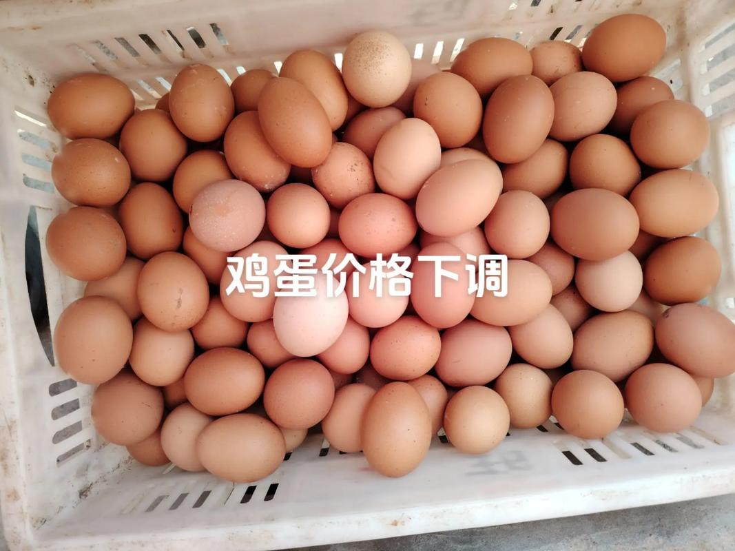 陕西咸阳今日鸡蛋价格-图3